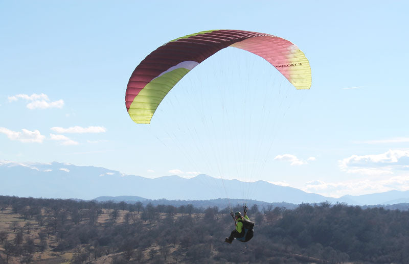 Parapente Sky Country MUSCAT-3